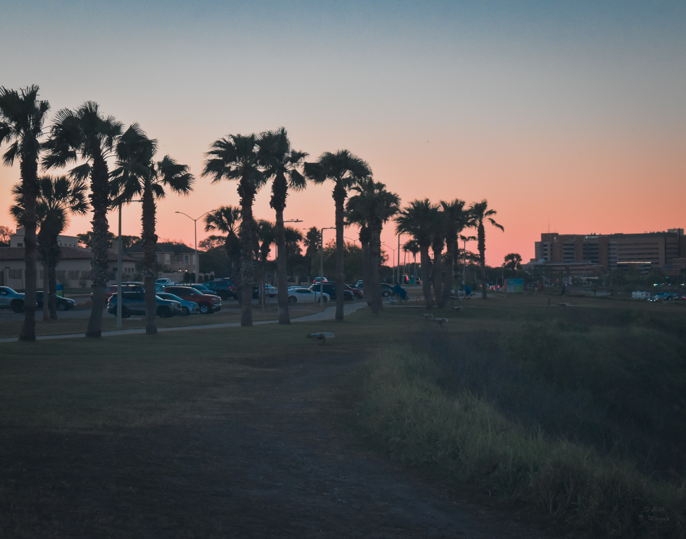 Sunset with Palms